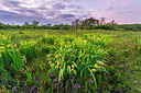 BUITEN BEELD Foto: 214589