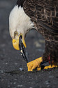 BUITEN BEELD Foto: 214658