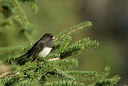 BUITEN BEELD Foto: 214702