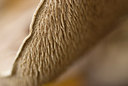 BUITEN BEELD Foto: 214704