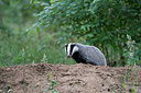 BUITEN BEELD Foto: 214705