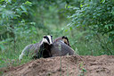 BUITEN BEELD Foto: 214709