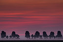 BUITEN BEELD Foto: 214744