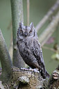BUITEN BEELD Foto: 214771