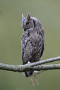 BUITEN BEELD Foto: 214773