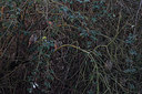 BUITEN BEELD Foto: 214775