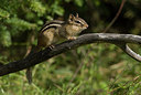 BUITEN BEELD Foto: 214828