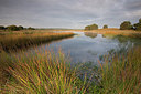 BUITEN BEELD Foto: 214838