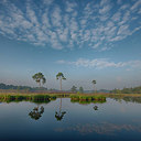 BUITEN BEELD Foto: 214845