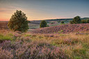 BUITEN BEELD Foto: 214846