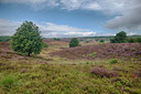 BUITEN BEELD Foto: 214847