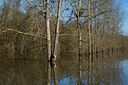 BUITEN BEELD Foto: 214850