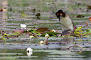 BUITEN BEELD Foto: 214852