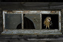 BUITEN BEELD Foto: 214865