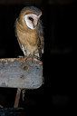 BUITEN BEELD Foto: 214894