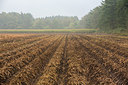 BUITEN BEELD Foto: 214904
