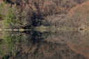 BUITEN BEELD Foto: 214920