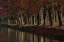 BUITEN BEELD Foto: 214925