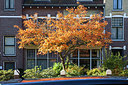 BUITEN BEELD Foto: 215077