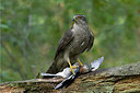 BUITEN BEELD Foto: 215110