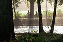 BUITEN BEELD Foto: 215269