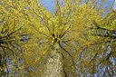 BUITEN BEELD Foto: 215388