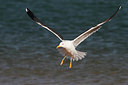 BUITEN BEELD Foto: 215420
