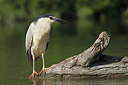 BUITEN BEELD Foto: 215421