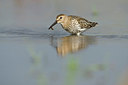 BUITEN BEELD Foto: 215443