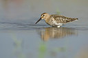 BUITEN BEELD Foto: 215445