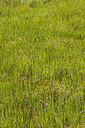 BUITEN BEELD Foto: 215498