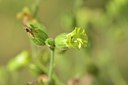 BUITEN BEELD Foto: 215518