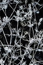 BUITEN BEELD Foto: 215559