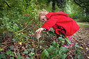 BUITEN BEELD Foto: 215641