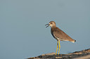 BUITEN BEELD Foto: 215709