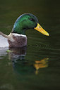 BUITEN BEELD Foto: 215788