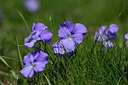 BUITEN BEELD Foto: 215792