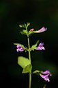 BUITEN BEELD Foto: 215805