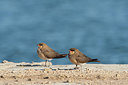 BUITEN BEELD Foto: 215811