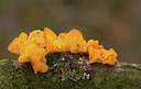 BUITEN BEELD Foto: 215865