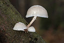 BUITEN BEELD Foto: 215868