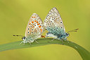 BUITEN BEELD Foto: 215884