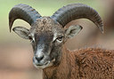 BUITEN BEELD Foto: 215896