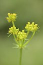 BUITEN BEELD Foto: 216063