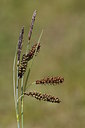 BUITEN BEELD Foto: 216069