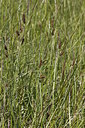 BUITEN BEELD Foto: 216070