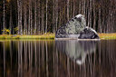 BUITEN BEELD Foto: 216169