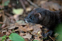 BUITEN BEELD Foto: 216171