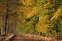 BUITEN BEELD Foto: 216178