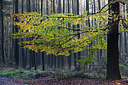 BUITEN BEELD Foto: 216179